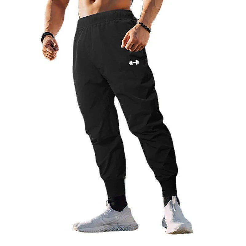 Quick Dry Gym Sport Pants
